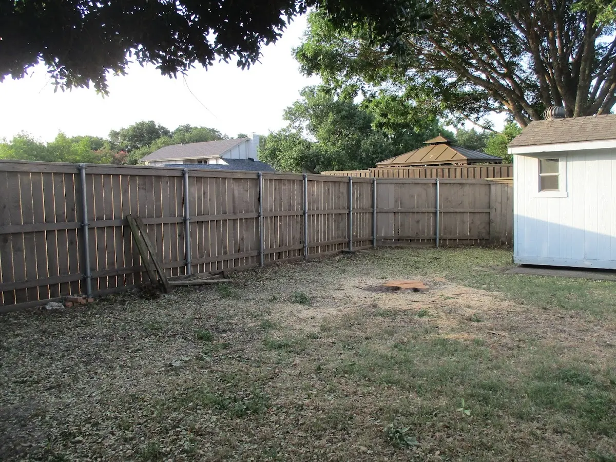 Cleared yard after professional tree removal in Sylvania